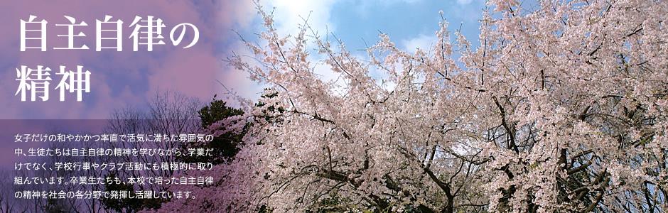 爱游戏官方网站入口